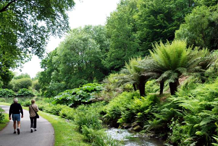 Conservatoire botanique national de Brest