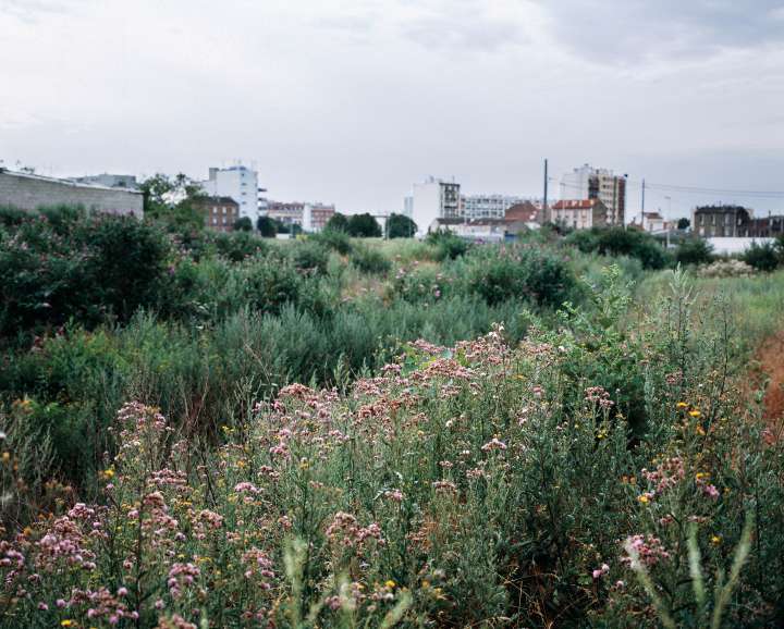 Friche urbaine