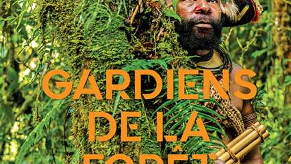 Gardiens de la forêt