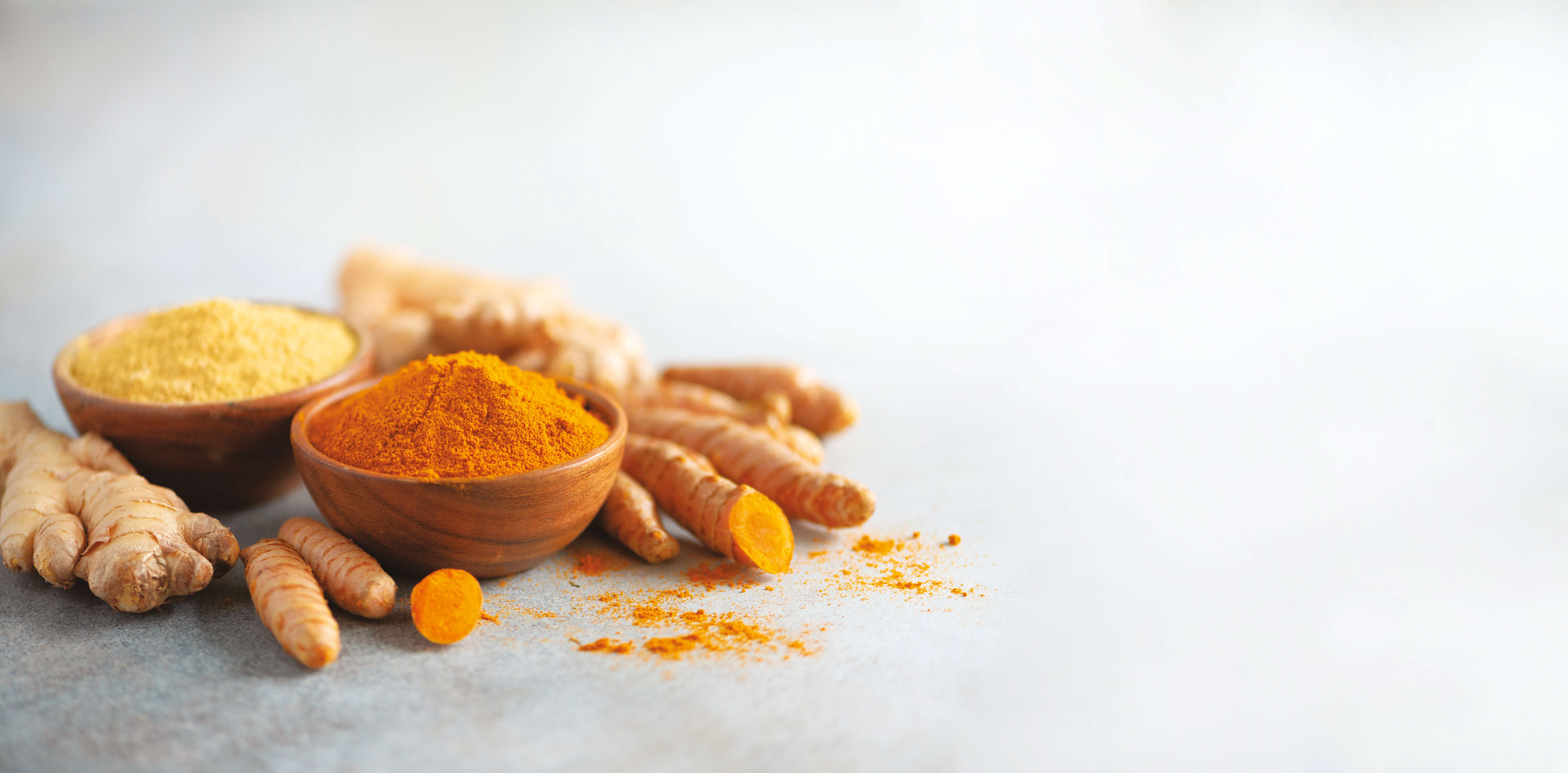 Gingembre et curcuma Des propriétés antioxydantes et dynamisantes Plantes et Santé Gingembre et curcuma Des propriétés antioxydantes et dynamisantes Plantes et Santé
