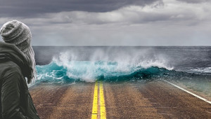 Réchauffement climatique 