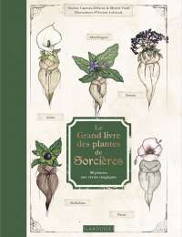 Le Grand Livre des plantes  de sorcières - Pauline Capmas-Delarue, Michel Viard