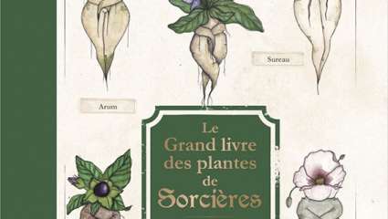 Le Grand Livre des plantes  de sorcières - Pauline Capmas-Delarue, Michel Viard