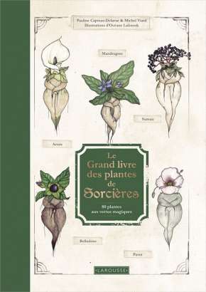 Le Grand Livre des plantes  de sorcières - Pauline Capmas-Delarue, Michel Viard