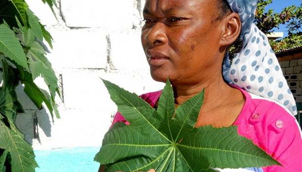 La force des rituels  haïtiens au quotidien