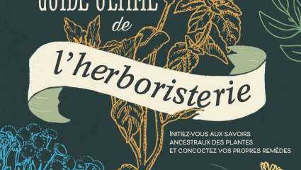 Le guide ultime de l'herboristerie - Loïc Ternisien