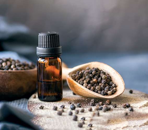 L'huile essentielle de poivre noir,  un puissant antalgique