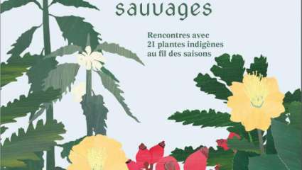 Sur la piste des herbes sauvages