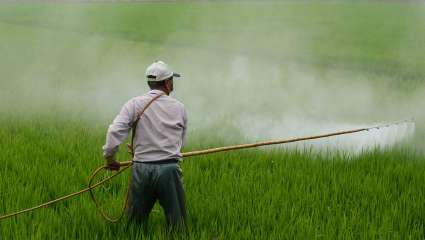 +23% de ventes de pesticides en 2018.