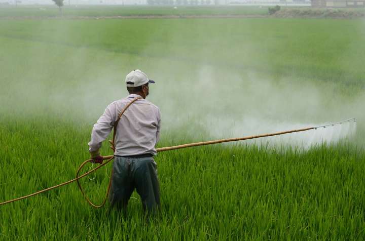 +23% de ventes de pesticides en 2018.