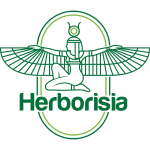 Herborisia