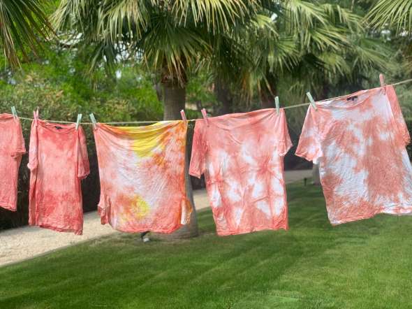 Tee-shirts tie and dye réalisés durant un atelier animé par Aurélia Wolff pour la marque Etam. Couleur rose obtenue avec de la garance (Rubia tinctorium) et couleur jaune obtenue avec de la gaude (Reseda luteola).
