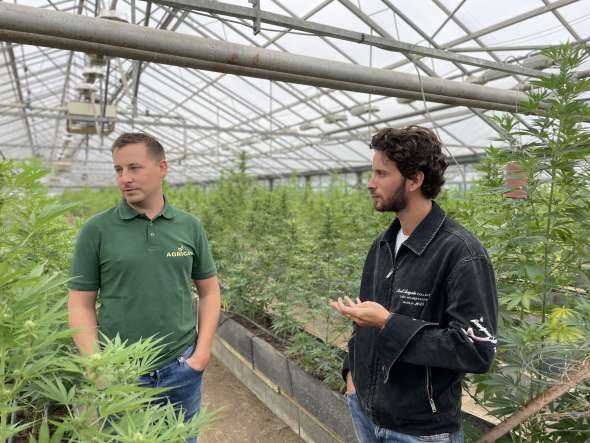 Agrican Company cultive du cannabis « bien-être ».