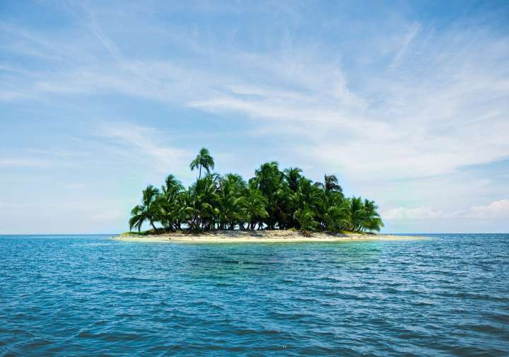 Le bloom des îles