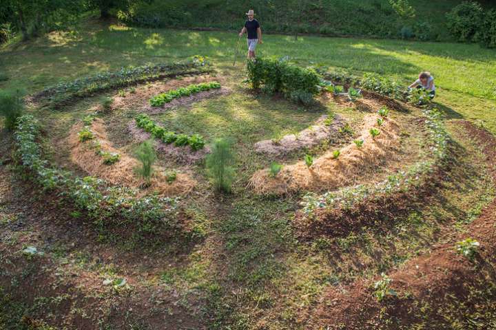 Permaculture : pour réduire pesticides et améliorer les rendements