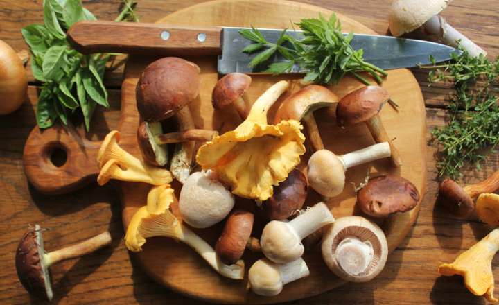 Des champignons pour maigrir ?