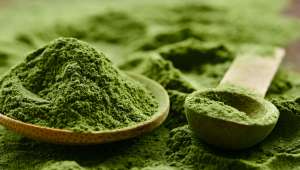 Spiruline