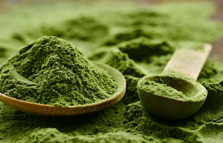 Spiruline