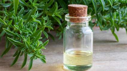 L'aromathérapie pour soigner les cystites