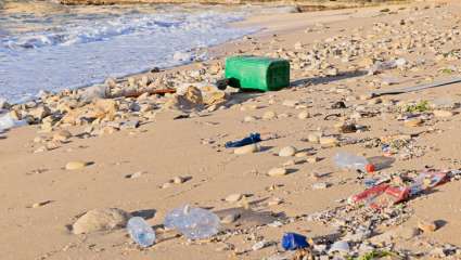 Pollution plastique sur la plage 