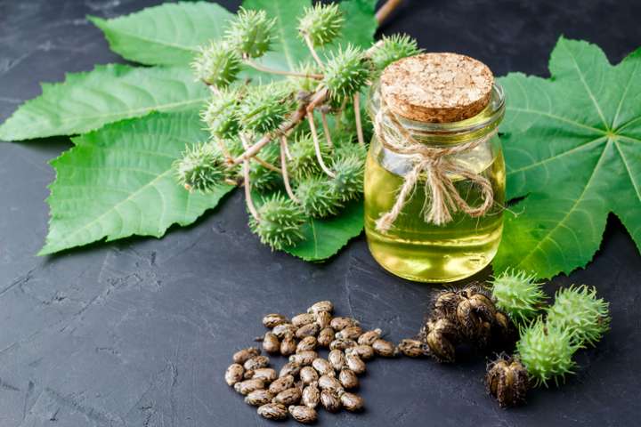 L'huile de ricin pour les cheveux