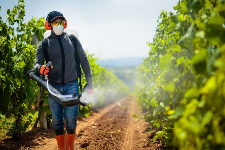 Un rapport accable à nouveau les pesticides