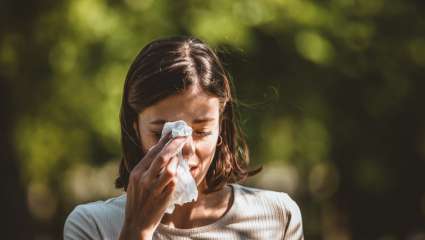 Allergie aux pollens