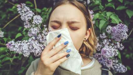 Se délivrer de maladies imaginaires avec les élixirs floraux