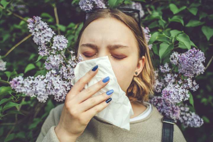 Se délivrer de maladies imaginaires avec les élixirs floraux