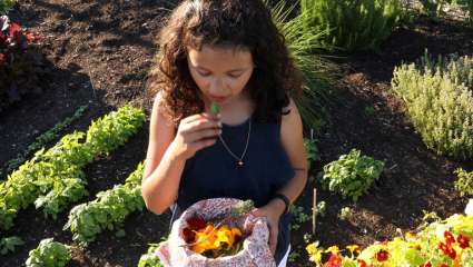 Les fleurs comestibles en cuisine !