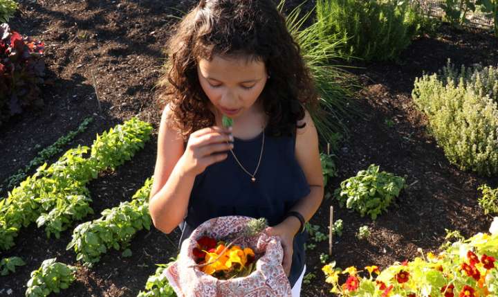 Les fleurs comestibles en cuisine !