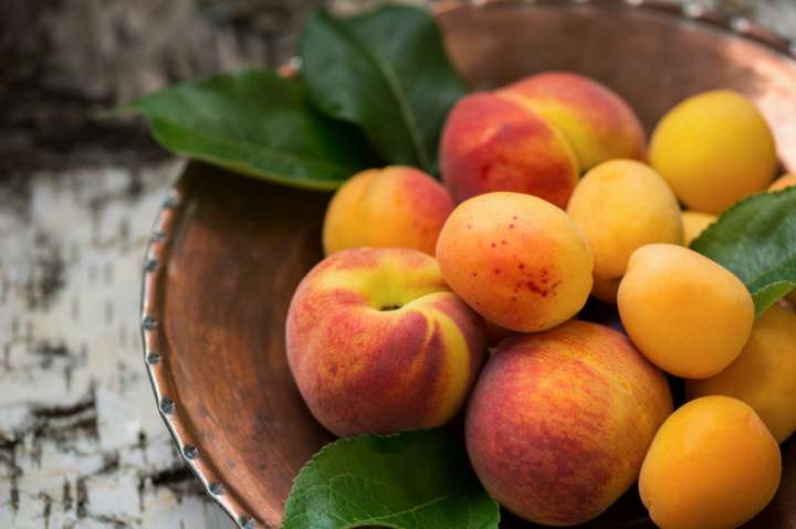 Aliment Jaune. Graines De Fruits De Légumes Jaunes En Rond Isolé