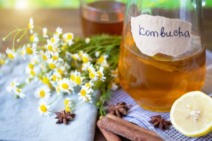 Les meilleurs conseils pour préparer un kombucha au top