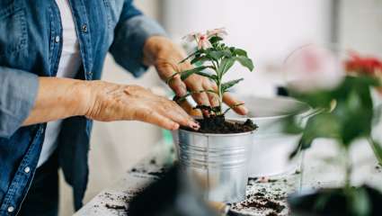 Bénéfices santé jardinage personnes âgées