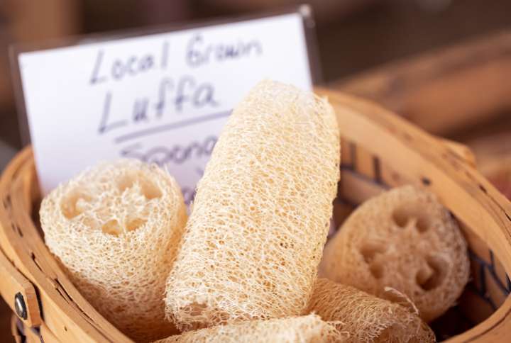 éponge luffa