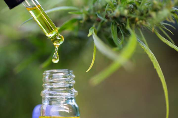 Huile de chanvre de CBD, bouteille de fixation de main de l'huile de cannabis dans la pipette