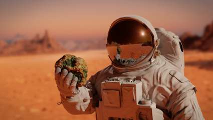Des cyanobactéries sur Mars