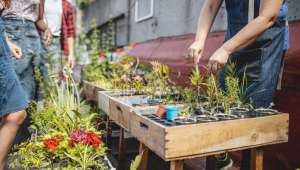 Réseau écolo, jardin malin, vrac et partage