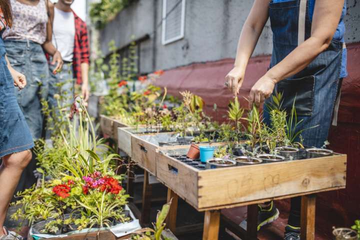 Réseau écolo, jardin malin, vrac et partage