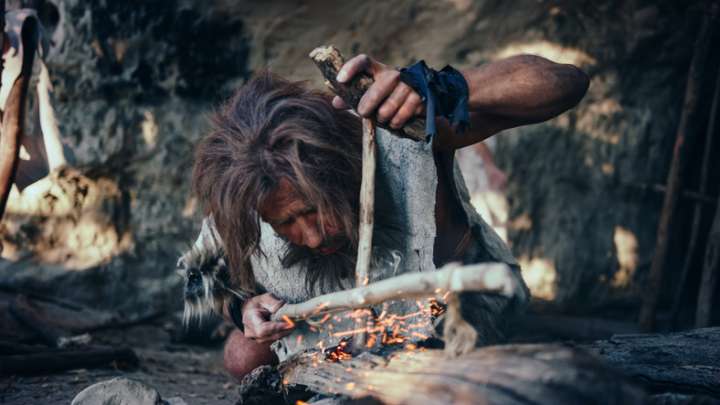 Néandertal aussi fabriquait de la poix de bouleau