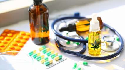 Expérimentation du cannabis thérapeutique : quel bilan ?