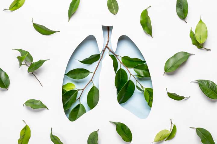Des oméga-3 pour ralentir l'évolution de la fibrose pulmonaire