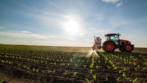 Pesticides : encore beaucoup utilisés en France