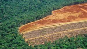 Déforestation et épidémie