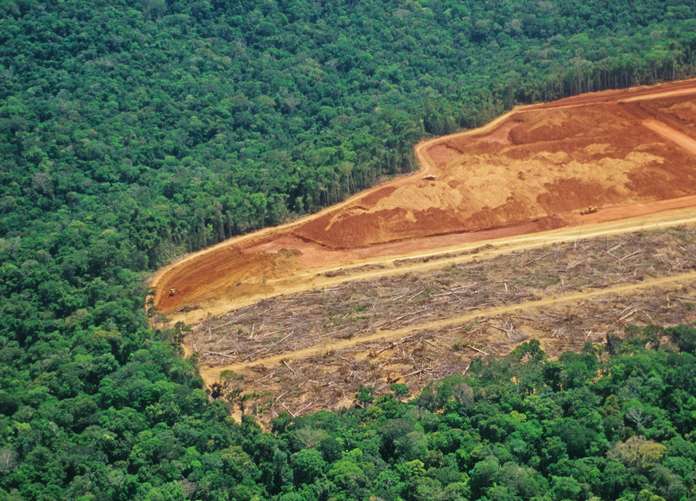 Déforestation et épidémie