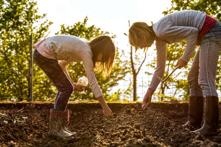 Ce printemps, semez des variétés locales et typiques