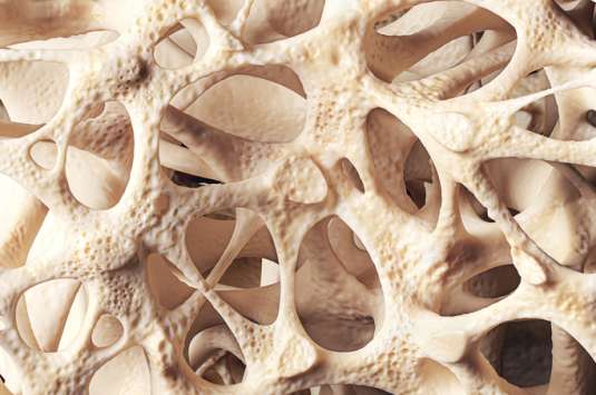 Traitement naturel de l'ostéoporose