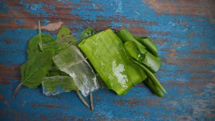 aloe vera cuisine