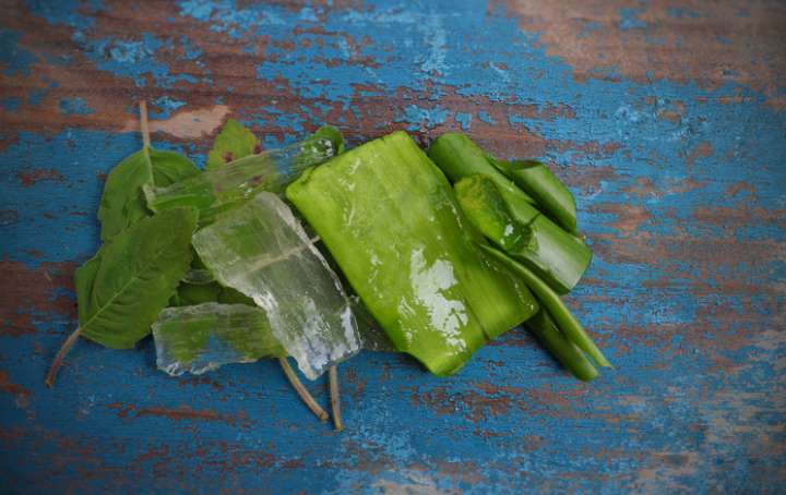 aloe vera cuisine