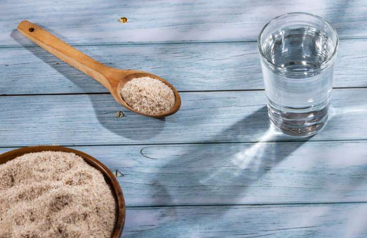 Le Psyllium Blond - Un véritable Antidiarrhéique- Plantes et Santé